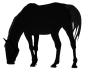 Comanche horse silhouette