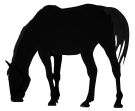  Comanche horse silhouette