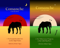 Comanche Is Not My Name cover